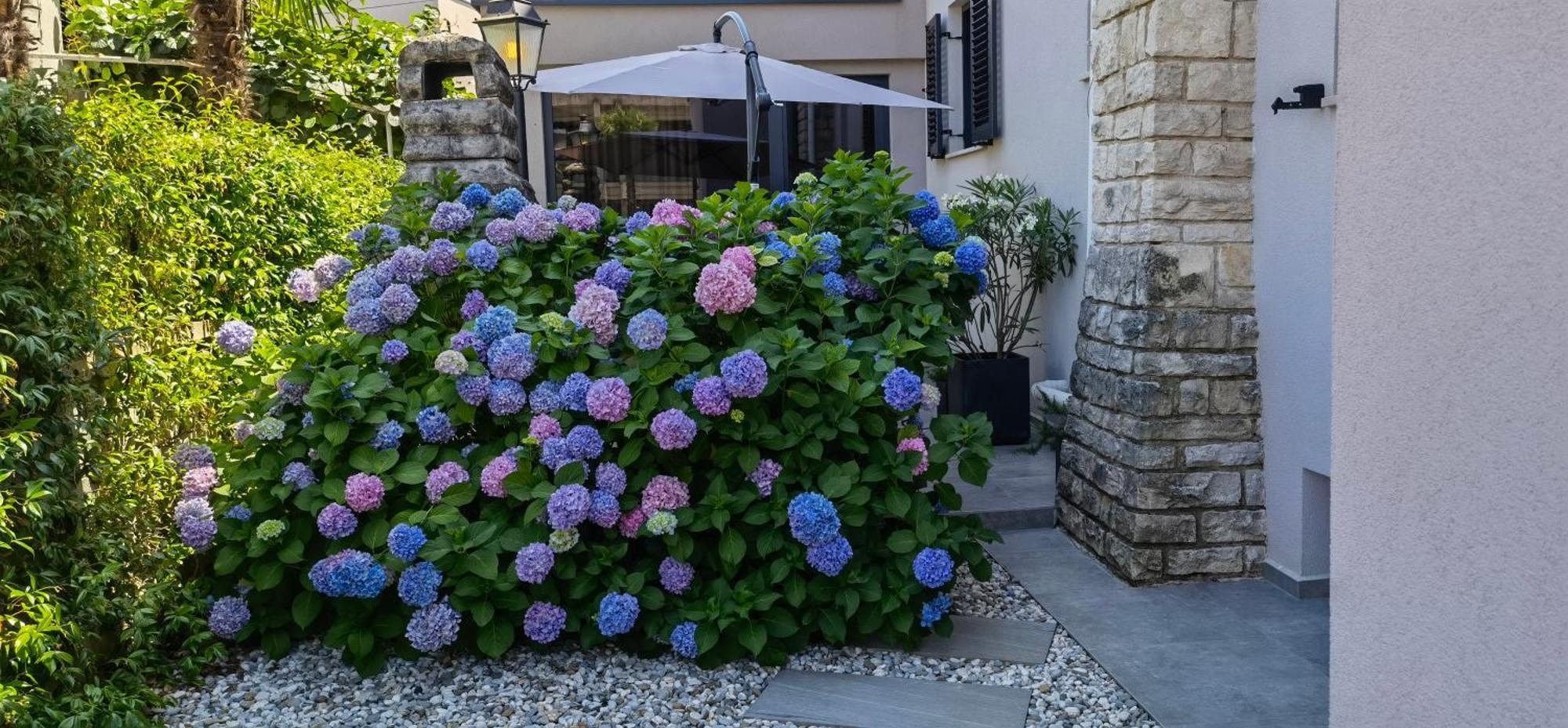 Stay In The Very Heart Of Porec - 50M To The Beach Kültér fotó